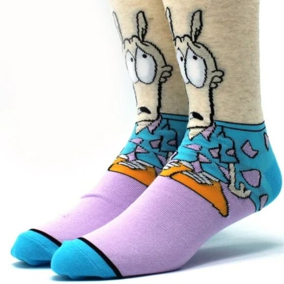 Triple Z Apparel Other - Rocko’s Modern Life Socks